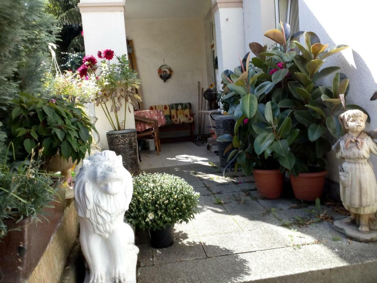 Dach-Studio-Runkel Schadecker Strasse 6 Εξωτερικό φωτογραφία
